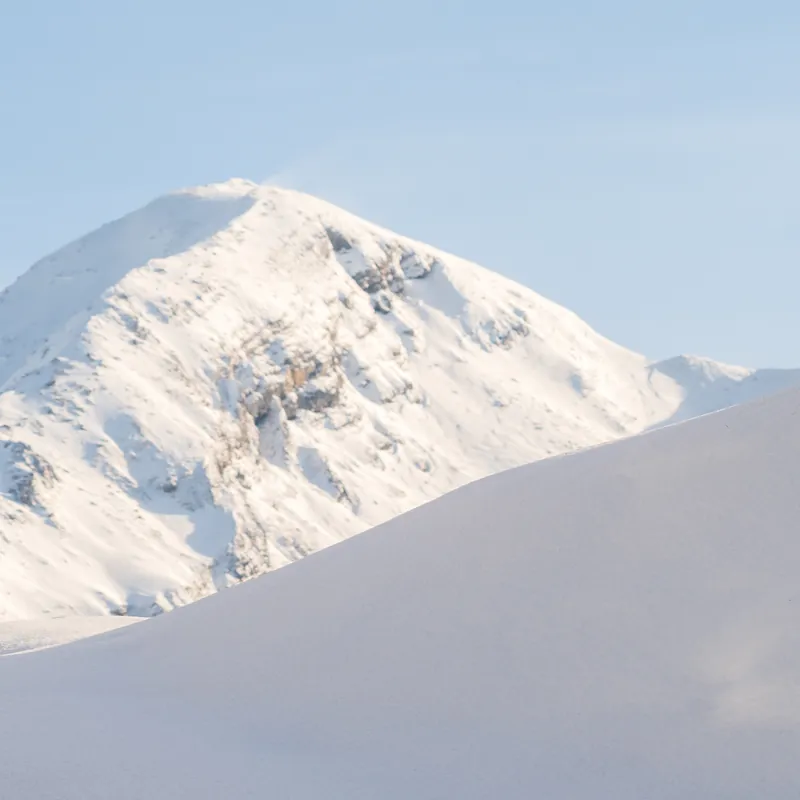 Snowline, late morning, V. 2020.